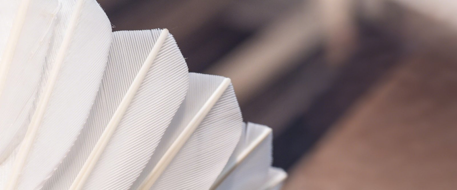 cầu lông vũ OEM chất lượng cao