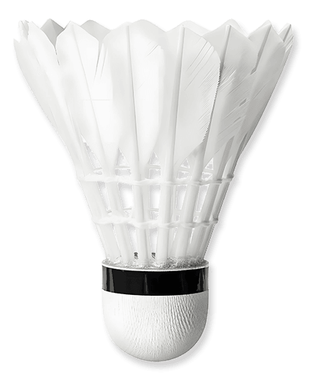 Goose feather shuttlecock