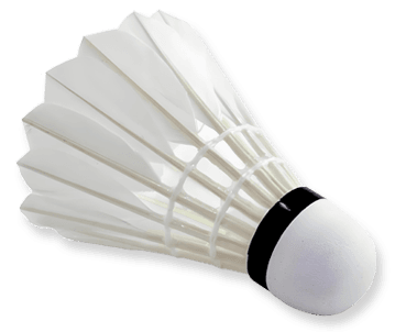 Trusted by Players Worldwide