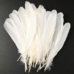 Curved Washed Duck Feathers