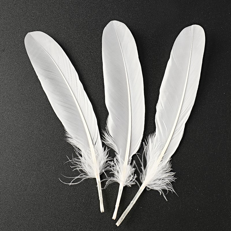 Curved Washed Duck Feathers Curved Washed Duck Feathers