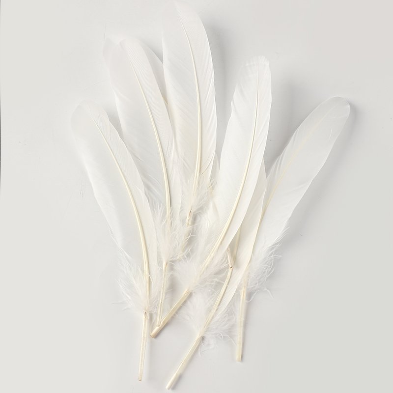 Curved Washed Duck Feathers Curved Washed Duck Feathers