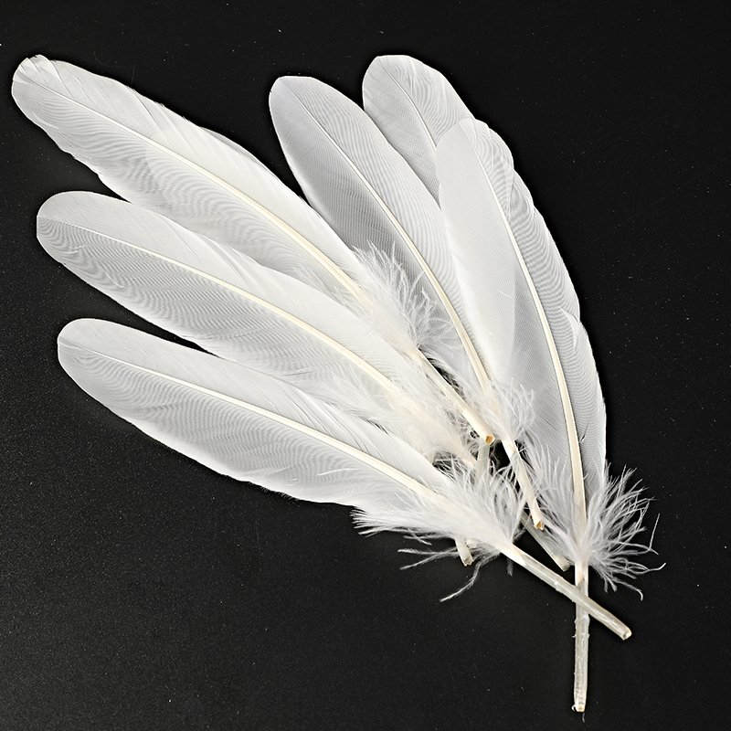 Washed Duck Feathers