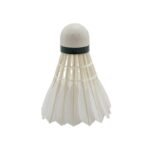 OEM Shuttlecock