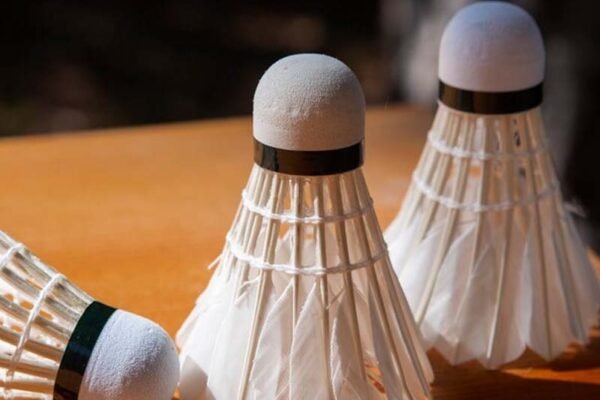 Badminton