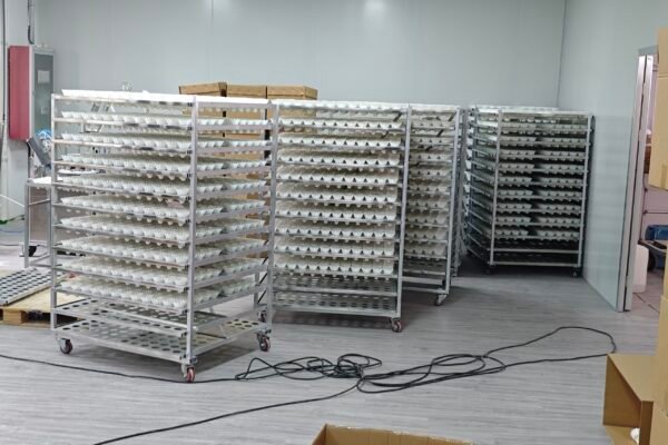 OEM shuttlecock vs branded shuttlecockOEM shuttlecock vs branded shuttlecock