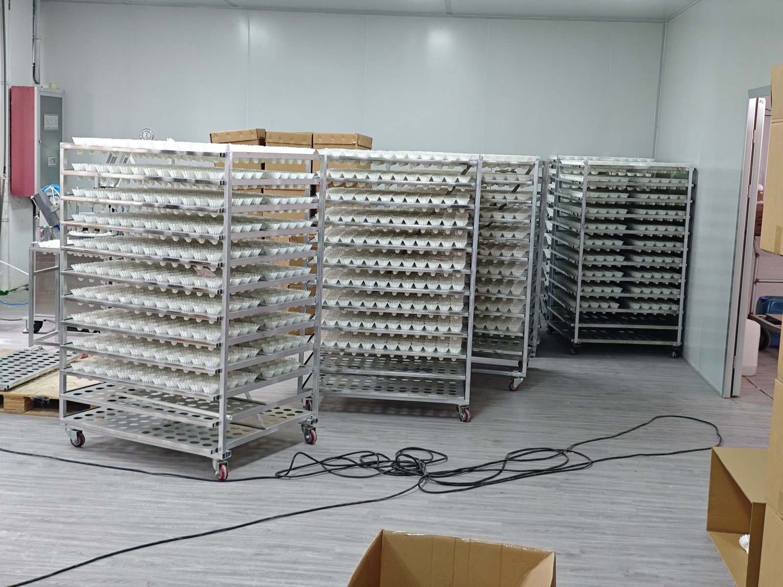 Kok bulu tangkis OEM vs kok bulu tangkis bermerek