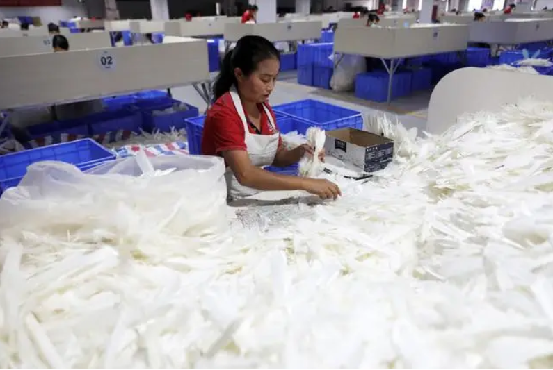 Feather shuttlecocks