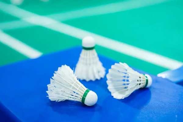 OEM Shuttlecock Manufacturer