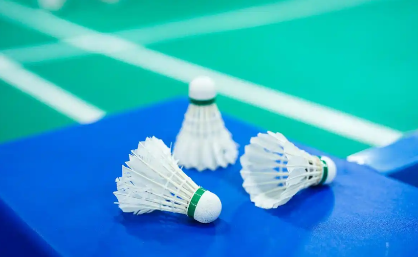 OEM Shuttlecock Manufacturer