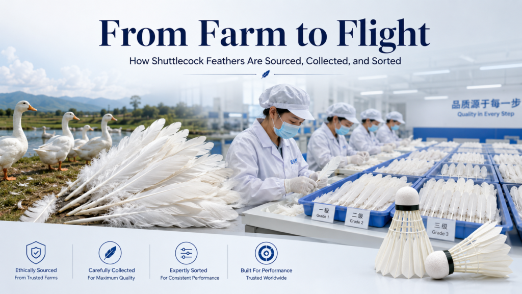 OEM shuttlecock